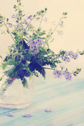 Similar image 1797309