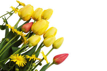 Similar image 1797330