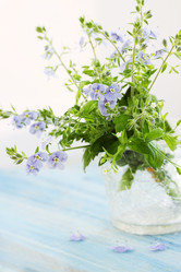 Similar image 1797331