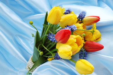 Similar image 1797332