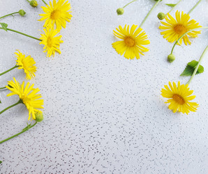 Similar image 1797334