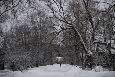 Similar image 1797428