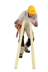 Similar image 1797609