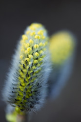 Similar image 1797971