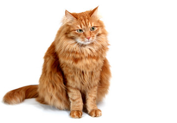 Similar image 1797985