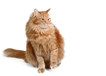 Similar image 1797988