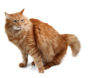 Similar image 1797989