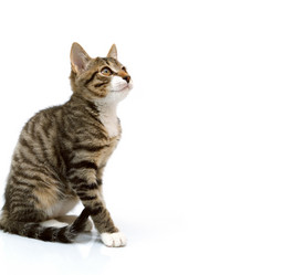 Similar image 1798041