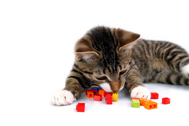 Similar image 1798042