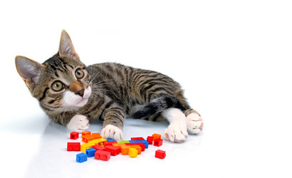 Similar image 1798044