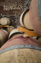 Similar image 1798141