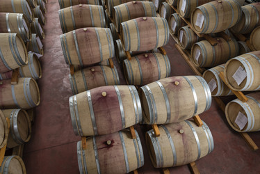 Similar image 1798153