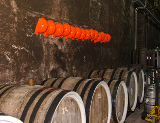 Similar image 1798411