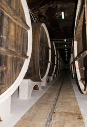 Similar image 1798413