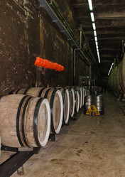 Similar image 1798425