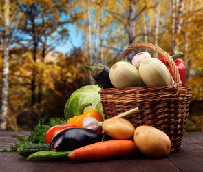 Similar image 1798561