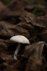 Similar image 1798613