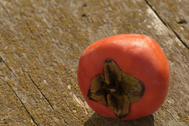 Similar image 1798615