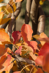 Similar image 1798623