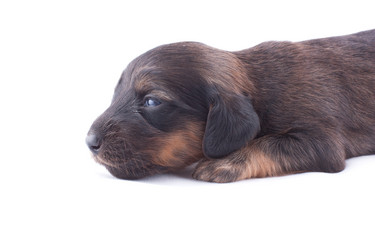 Similar image 1798715