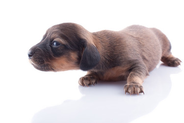 Similar image 1798716