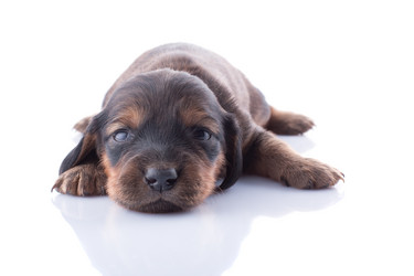 Similar image 1798718