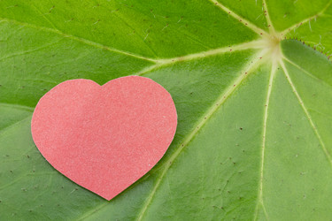 Similar image 1798817