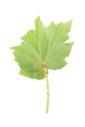 Similar image 1798820