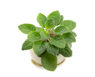 Similar image 1798822