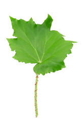 Similar image 1798823