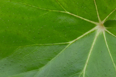 Similar image 1798826