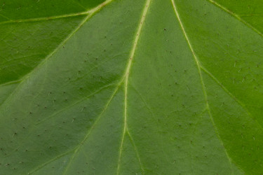 Similar image 1798827