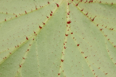 Similar image 1798828