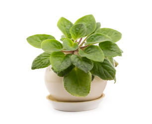 Similar image 1798830