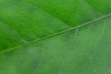 Similar image 1798831