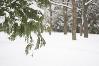 Similar image 1798854