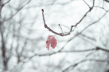 Similar image 1798855