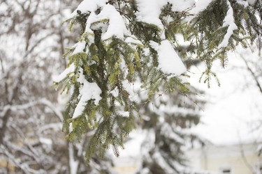 Similar image 1798856