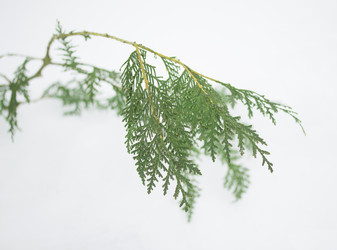 Similar image 1798857