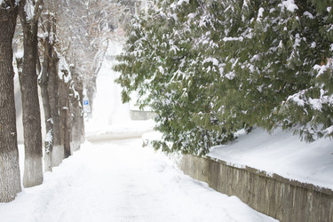 Similar image 1798859