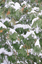 Similar image 1798883