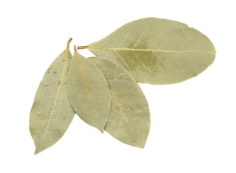 Similar image 1798887