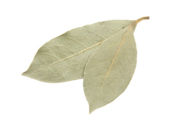 Similar image 1798889