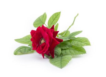 Similar image 1798893