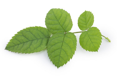 Similar image 1798900