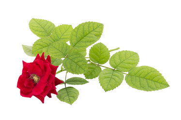 Similar image 1798902