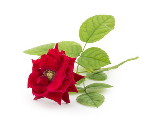 Similar image 1798904