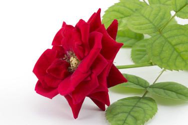 Similar image 1798906