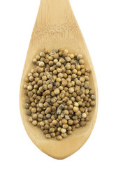 Similar image 1798911