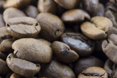 Similar image 1798916